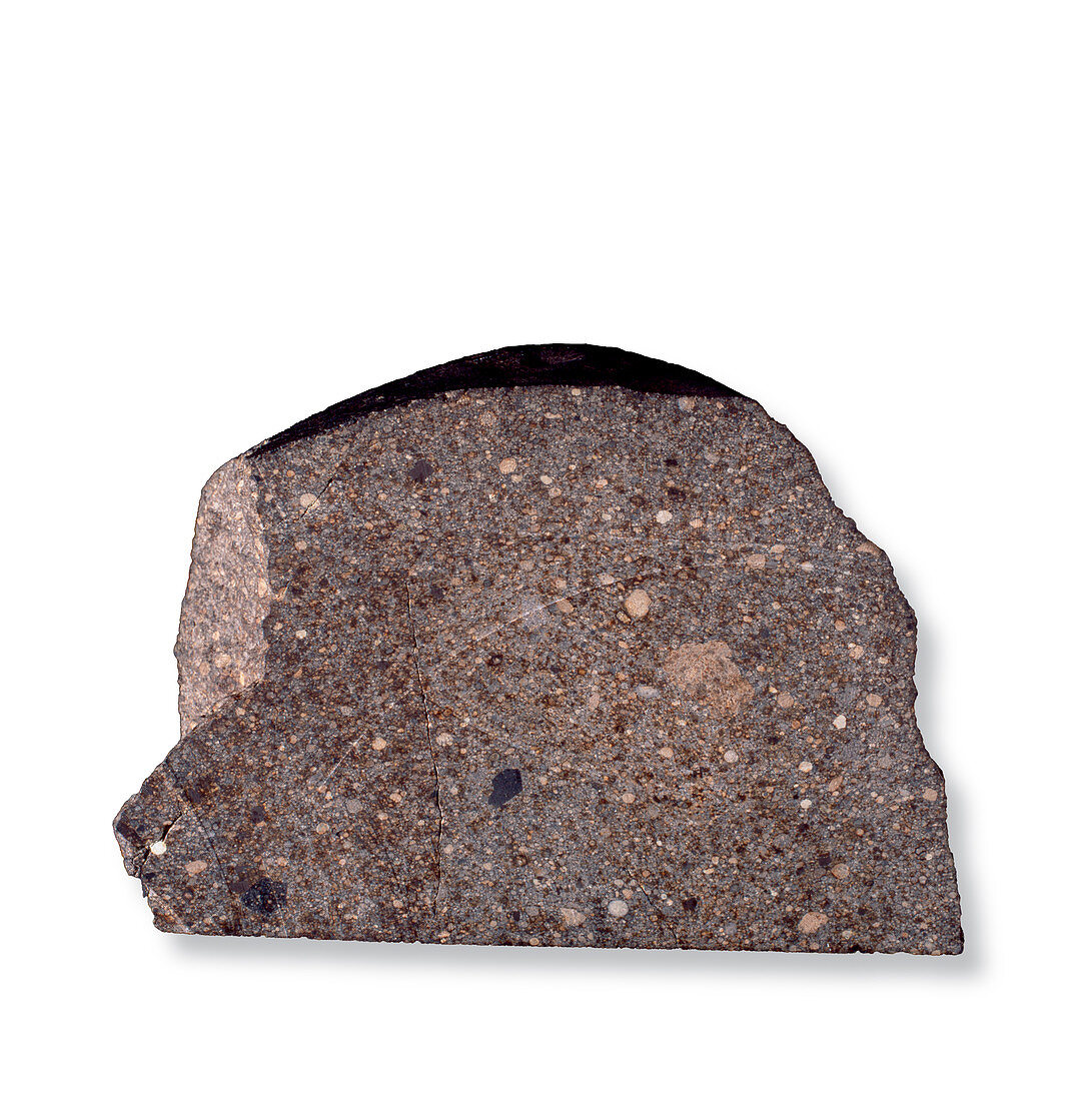 Parnalle ordinary chondrite