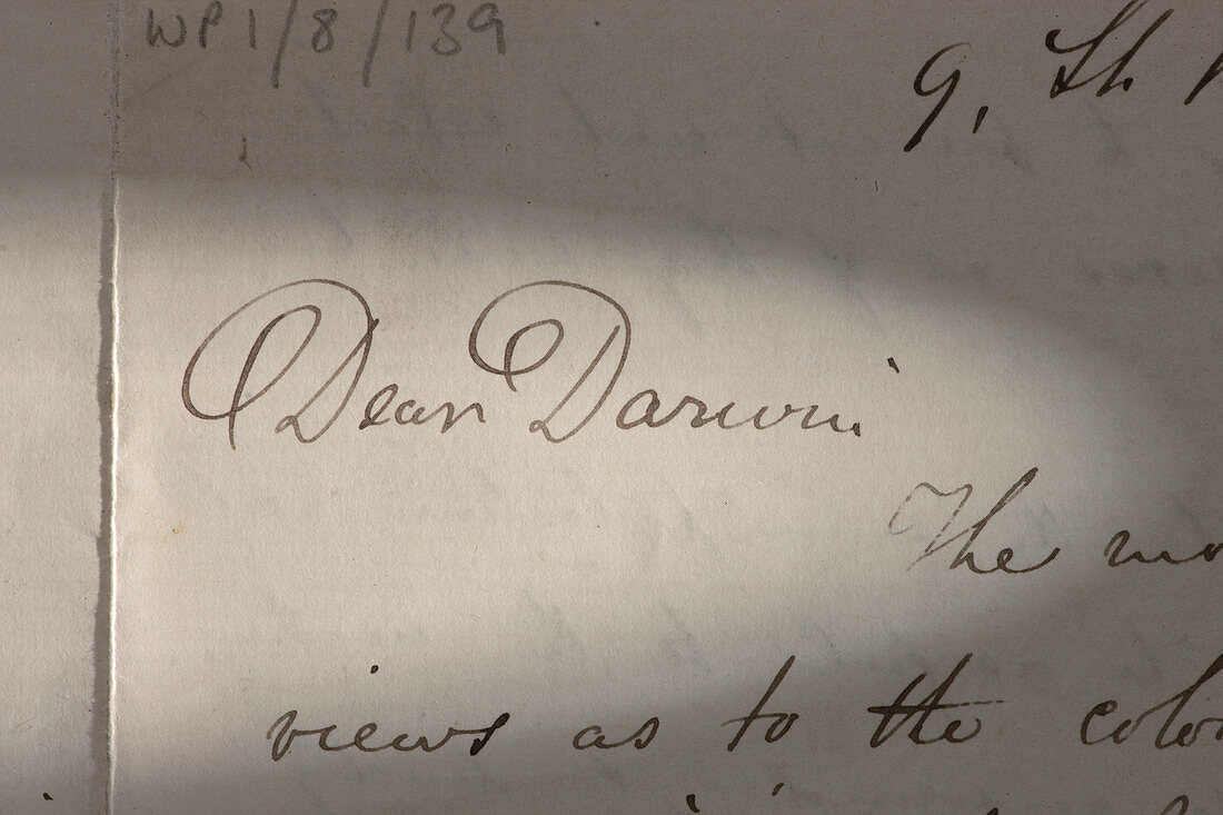 Letter from Wallace to Darwin,1868
