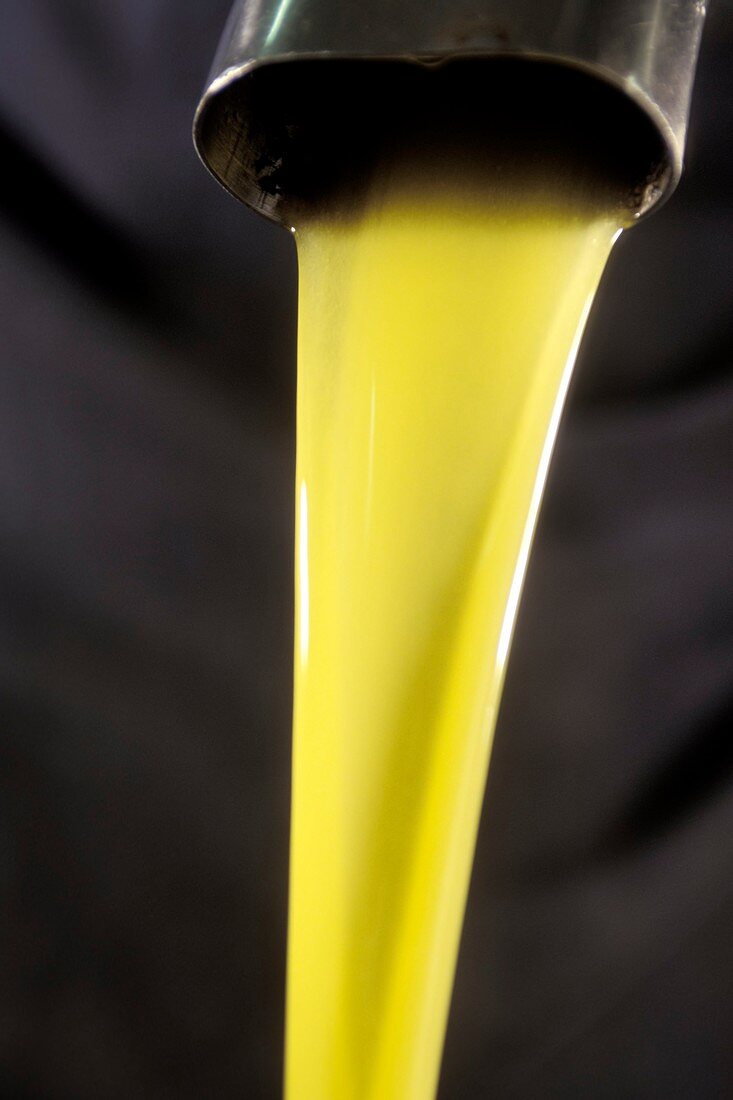 Olive oil production,France
