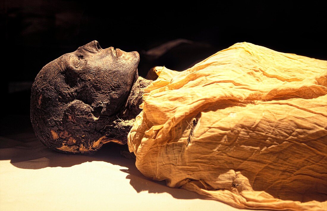 Seti I mummy,Egypt