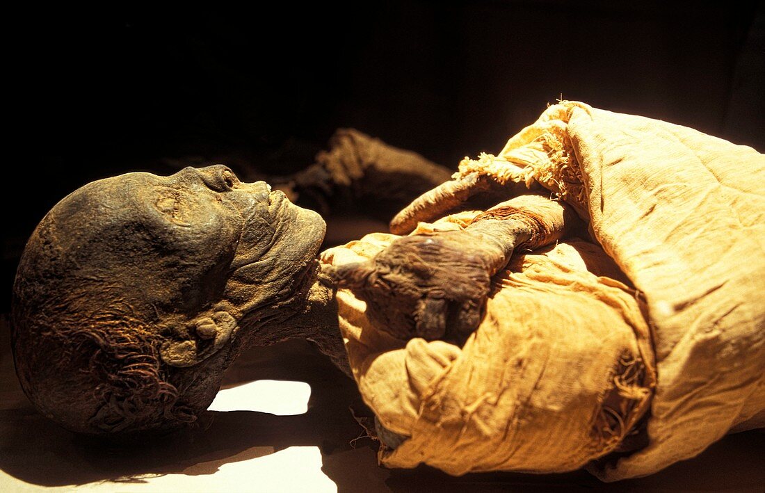 Tuthmosis I mummy,Egypt