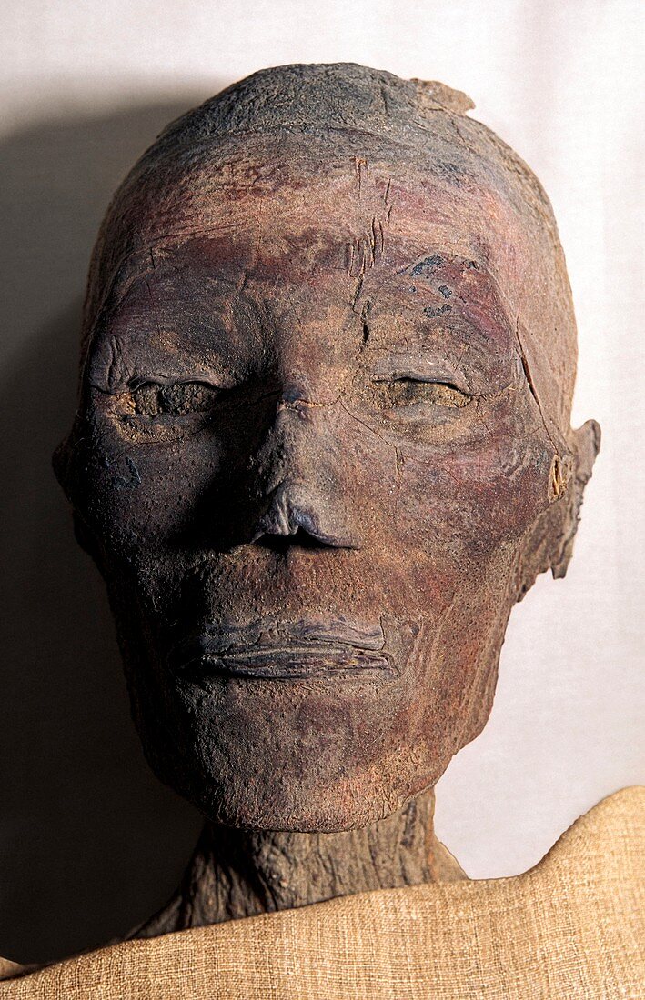 Ramases IX mummy,Egypt