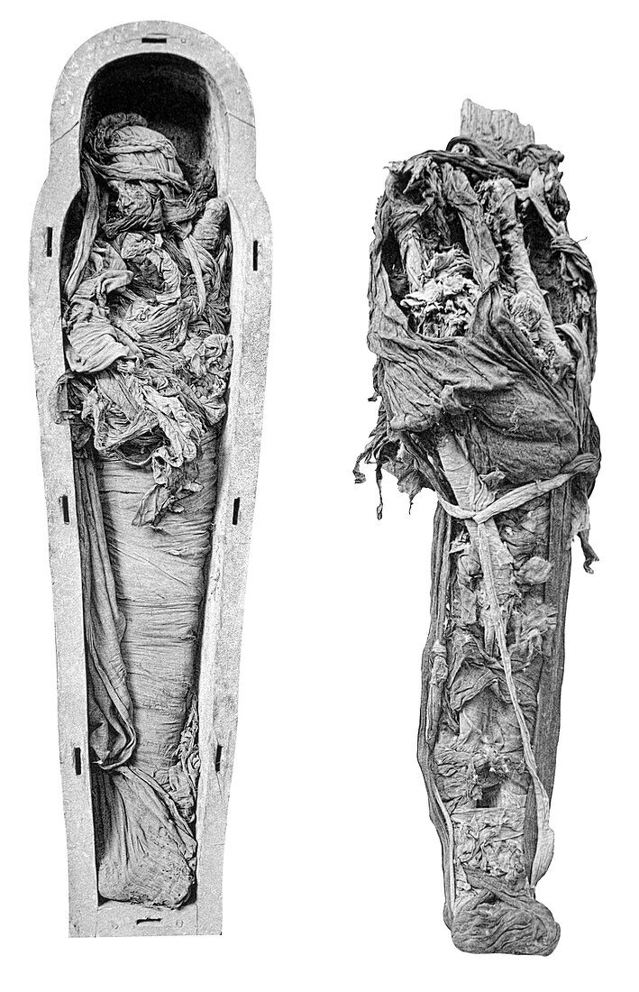 Ramases VI mummy,Egypt