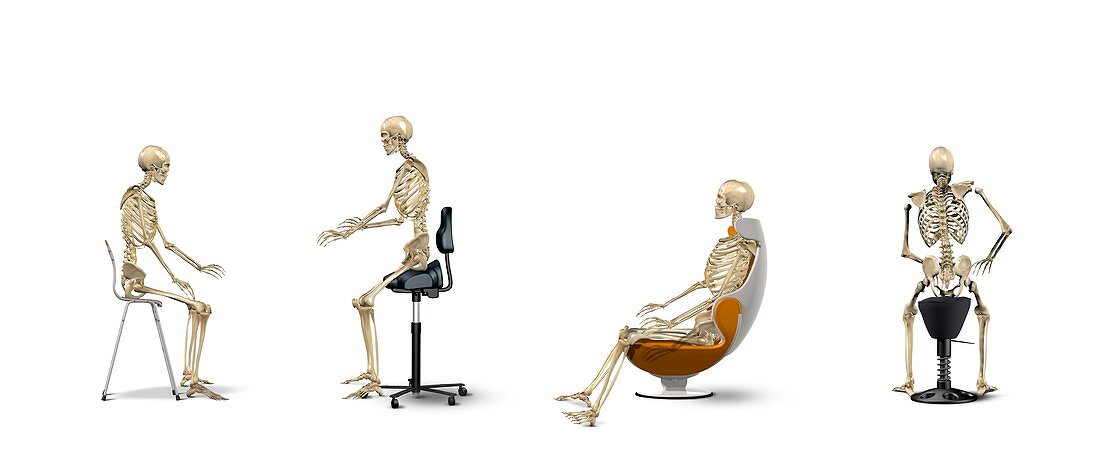 Chair ergonomics,correct postures