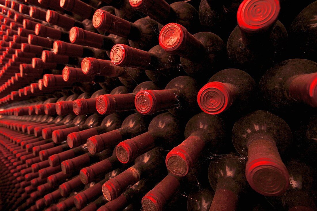Wine bottles in a rack