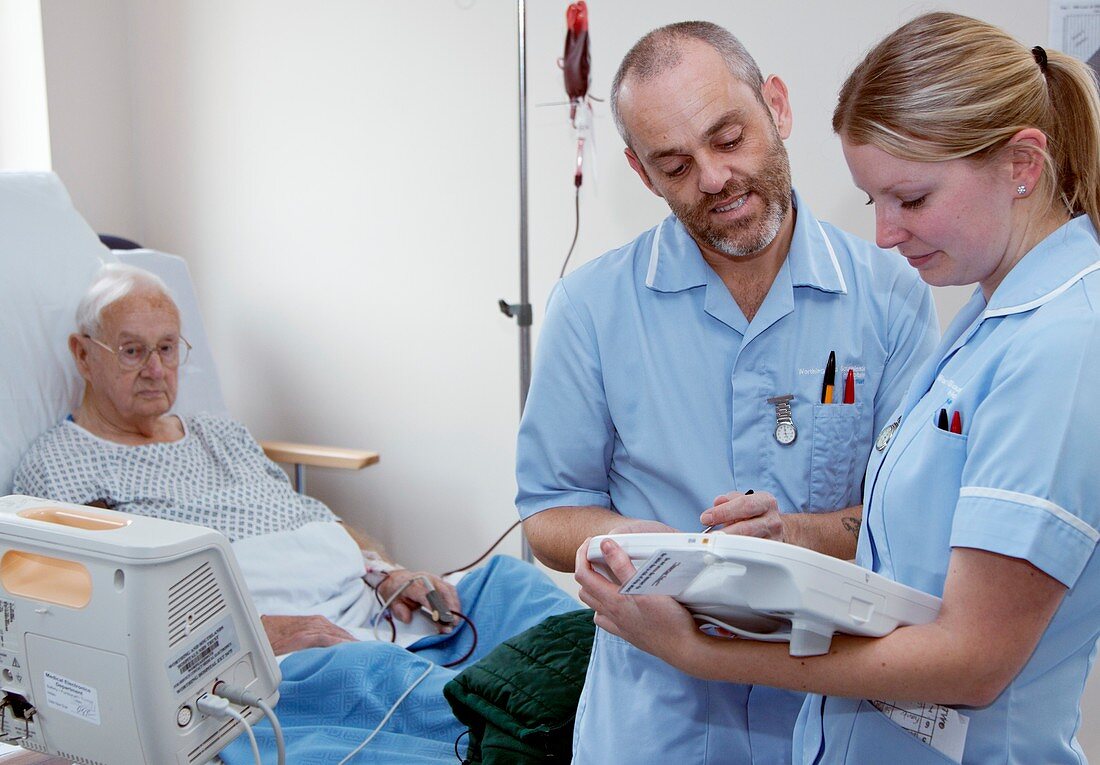 Nurses using handheld computers
