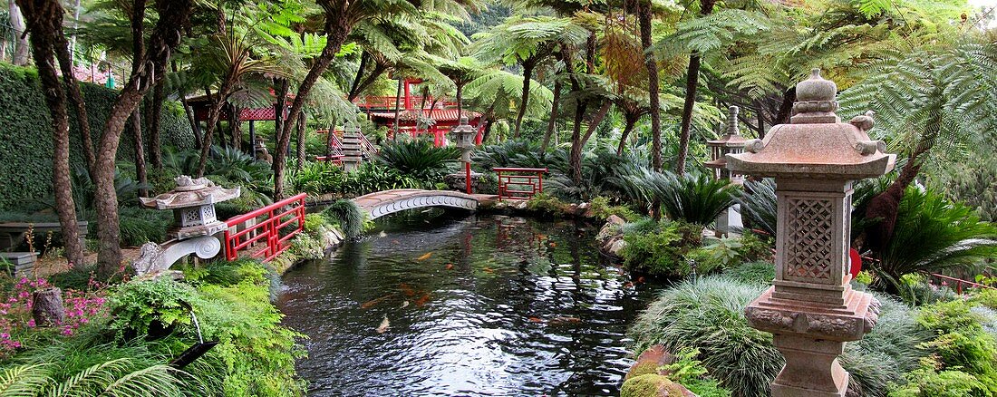Japanese garden,Madeira