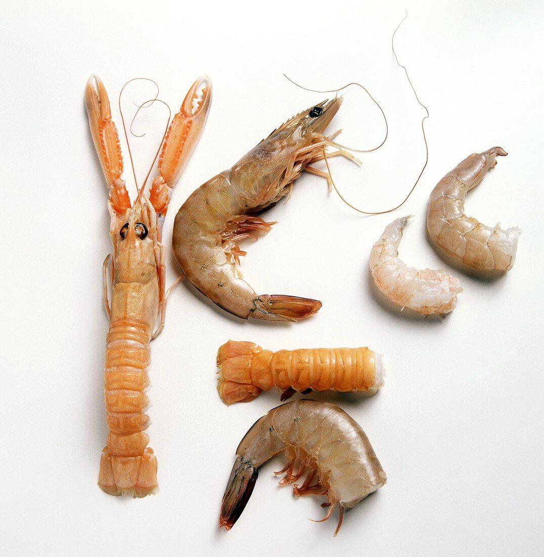 Norway Lobster and Assorted Shrimp