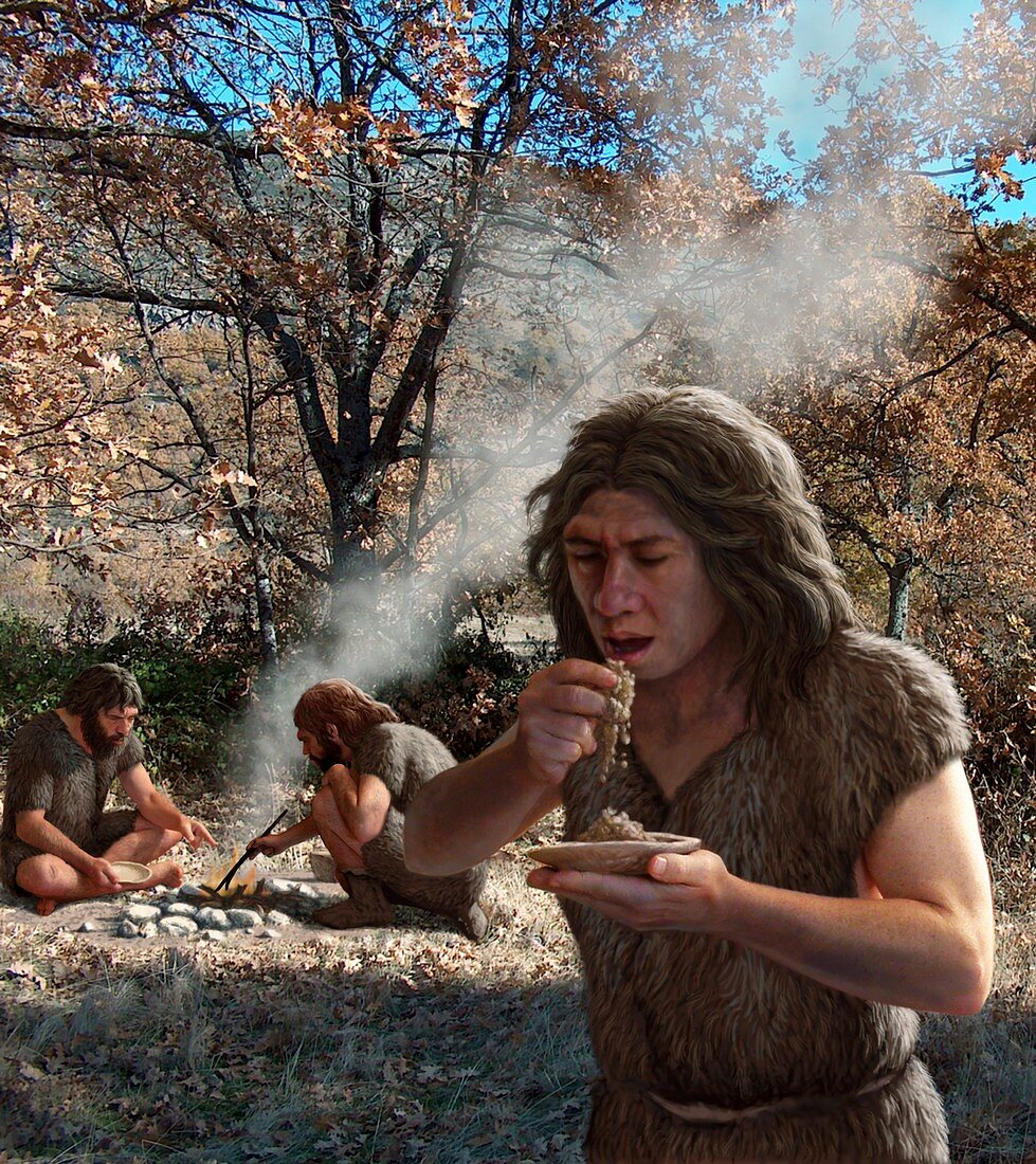 Neanderthals cooking vegetables,artwork