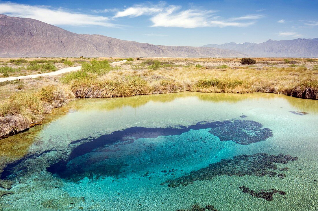 Geothermal pool,Mexico