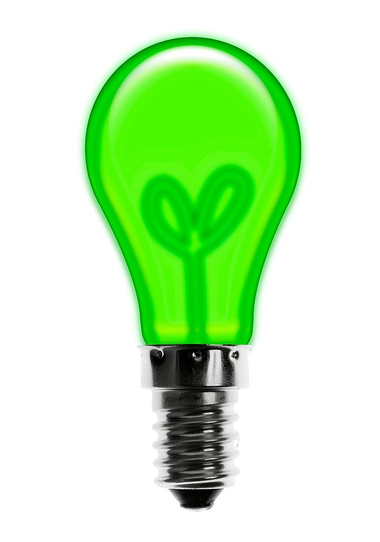 Eco-friendly light bulb,conceptual image