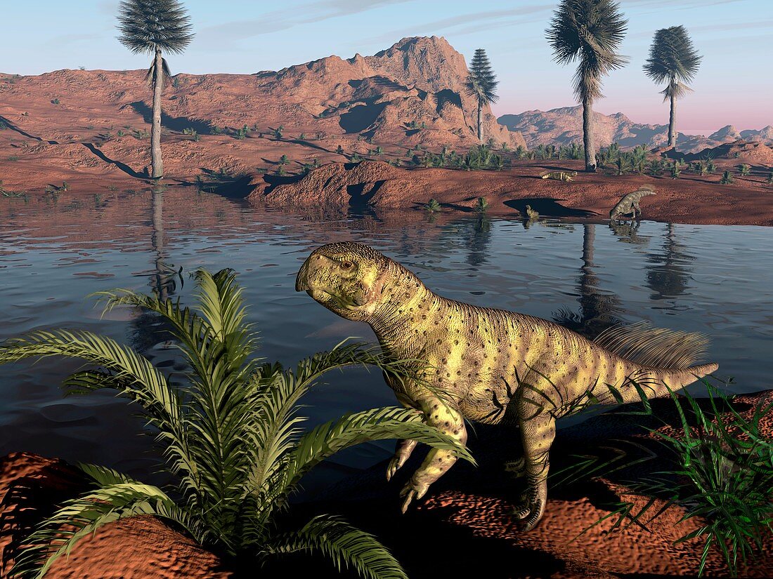 Psittacosaurus dinosaur,artwork