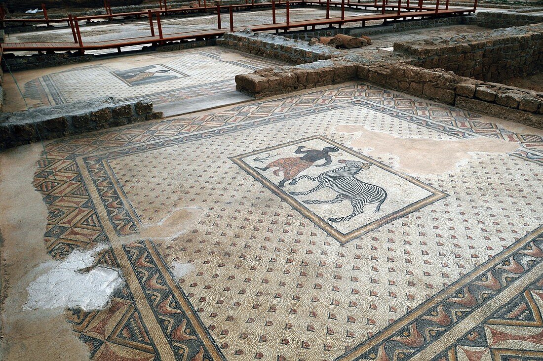 Byzantine mosaics,Turkey