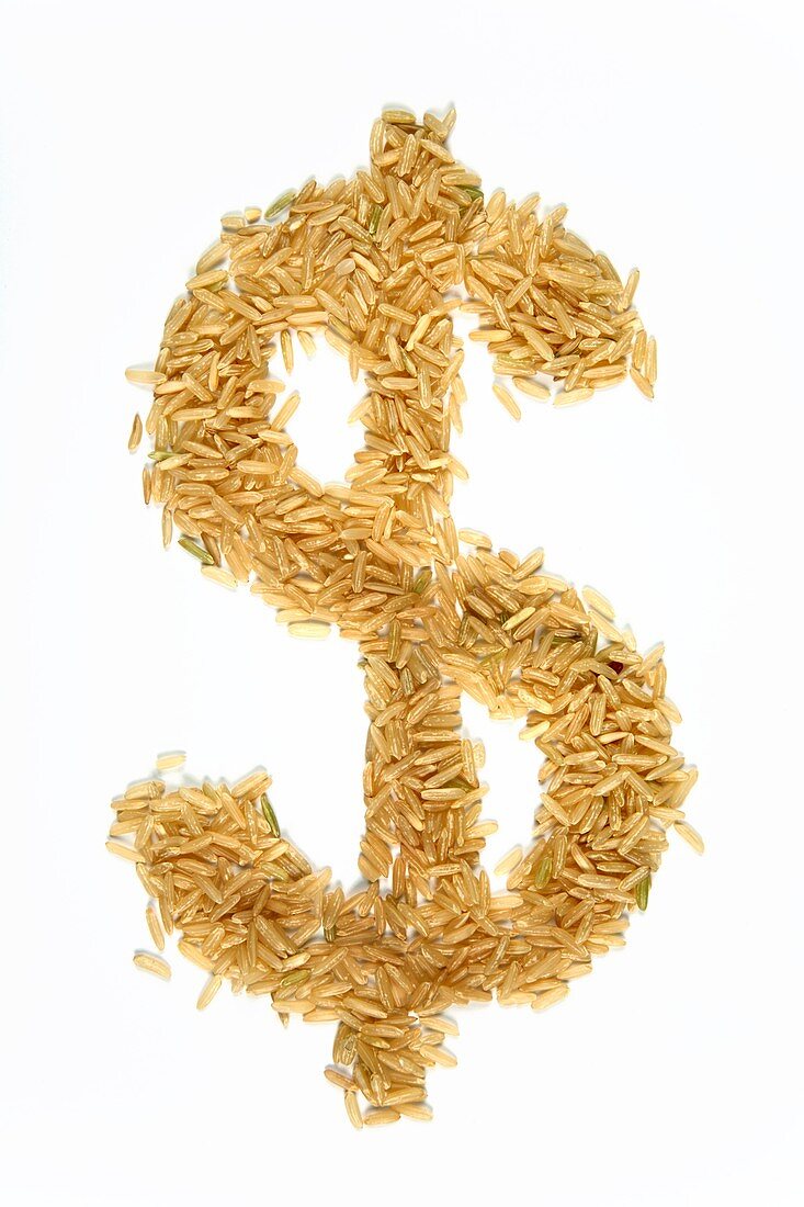 Food costs,conceptual image