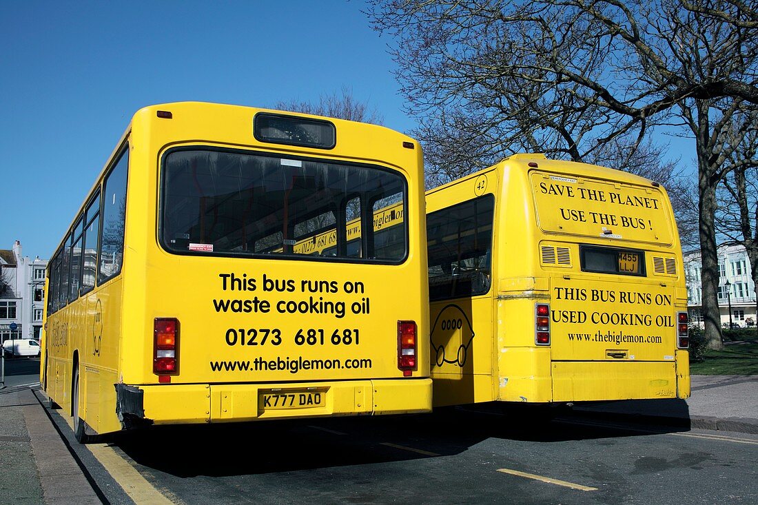 Waste cooking oil buses