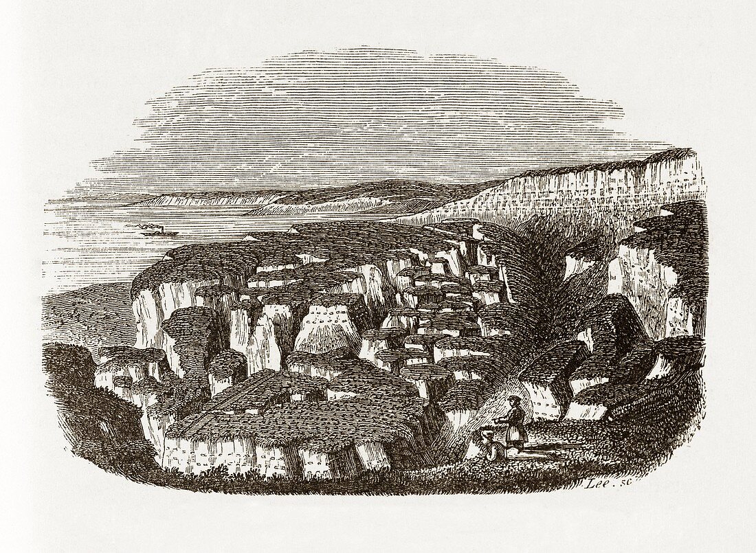 Landslip on the Sussex coast,1839