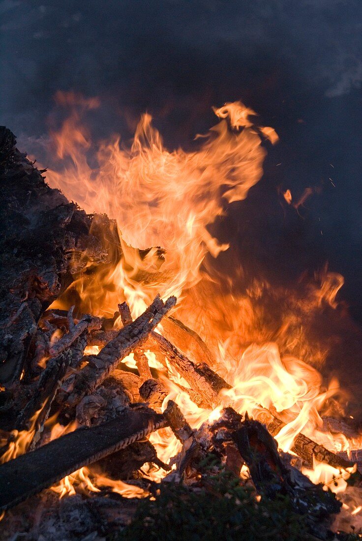 Flames from a bonfire