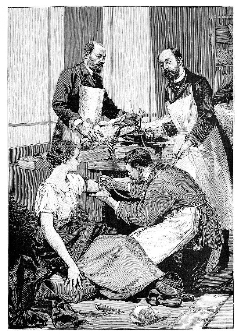 Tuberculosis transfusion,19th century