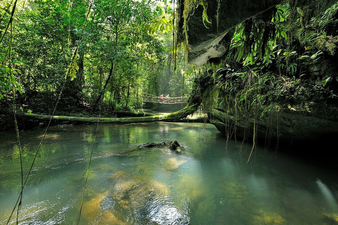 Jungle river,Borneo