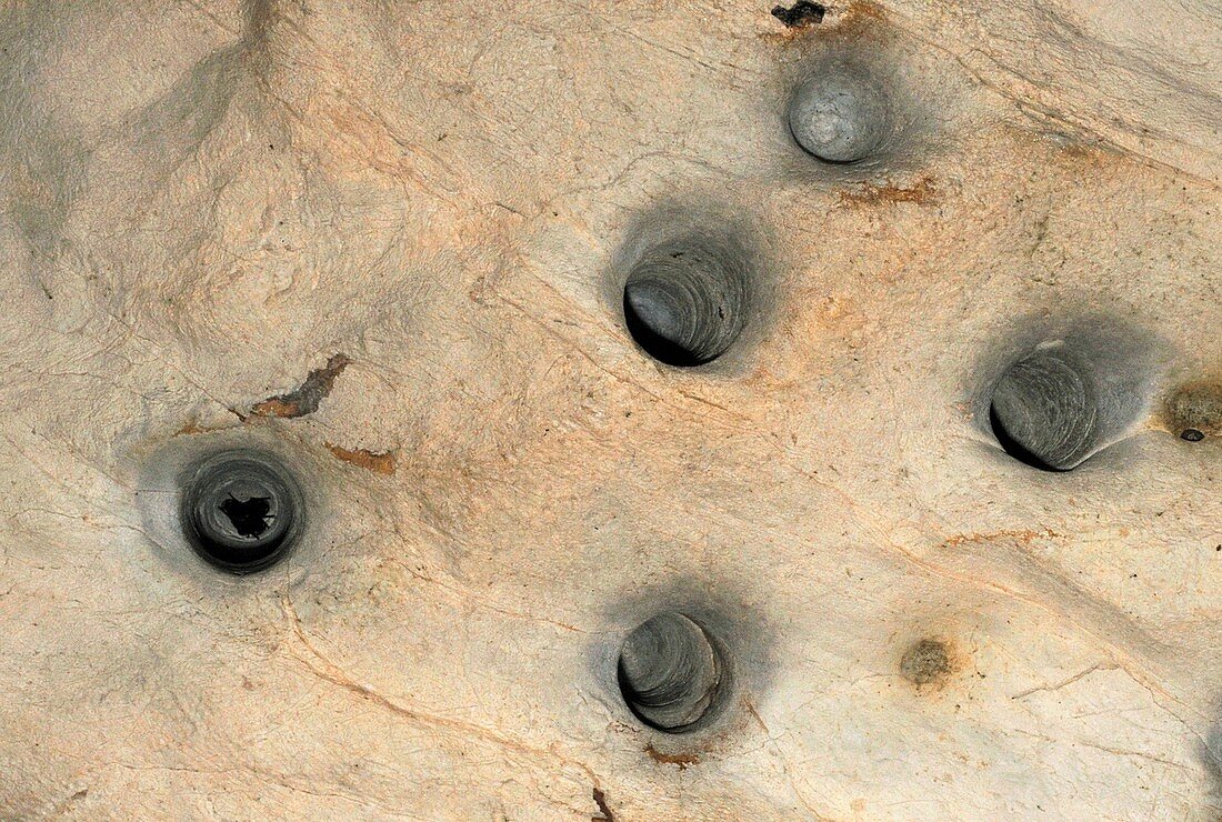 Bat cave roosting holes