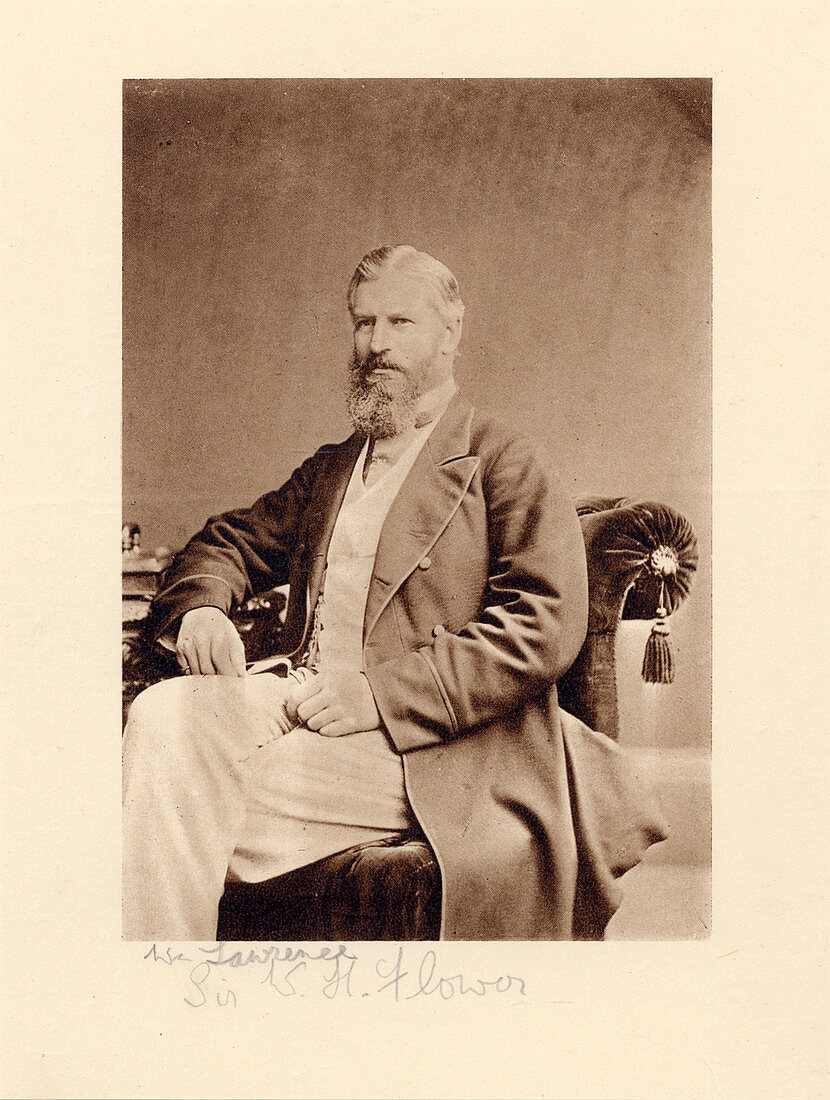 William Flower,British zoologist