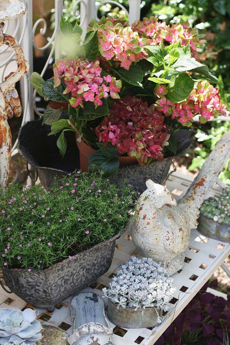 Magnificent hydrangea flowers next to white figurine of bird