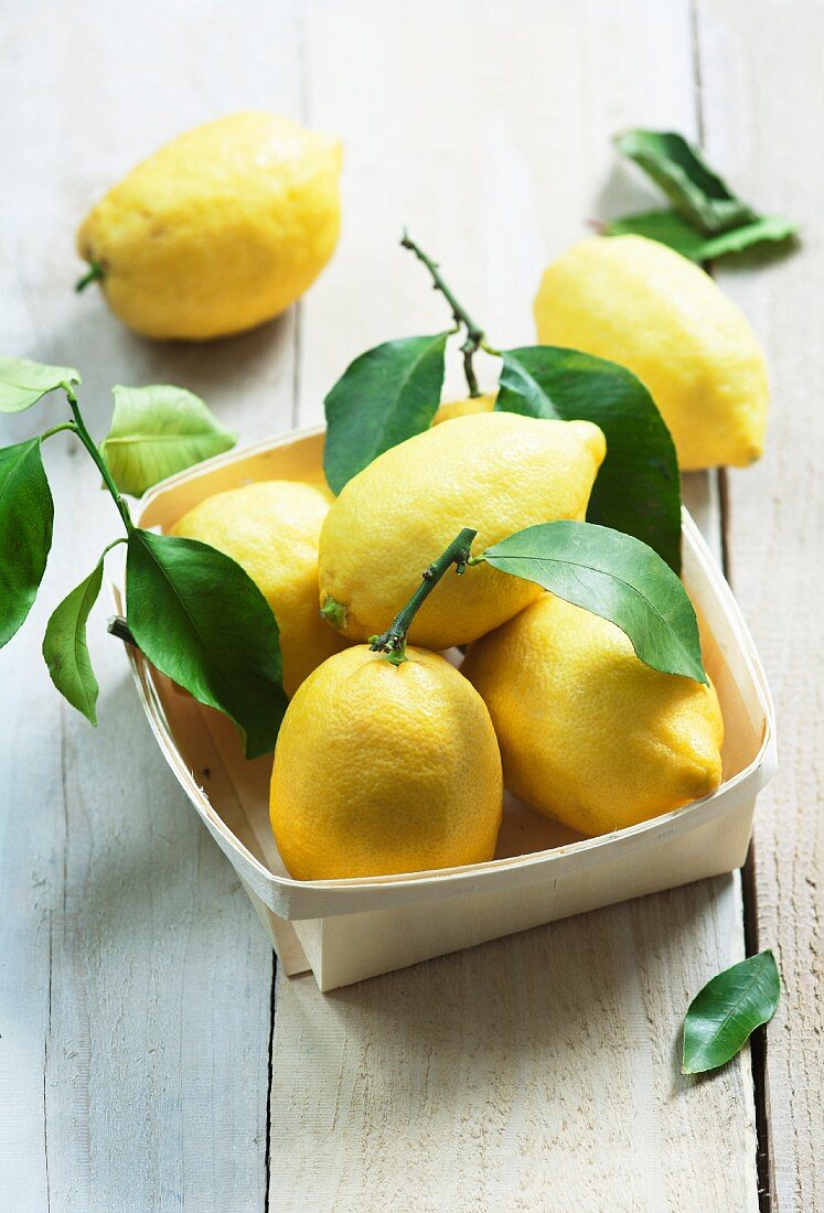 Sorrento lemons with leaves in a wooden basket