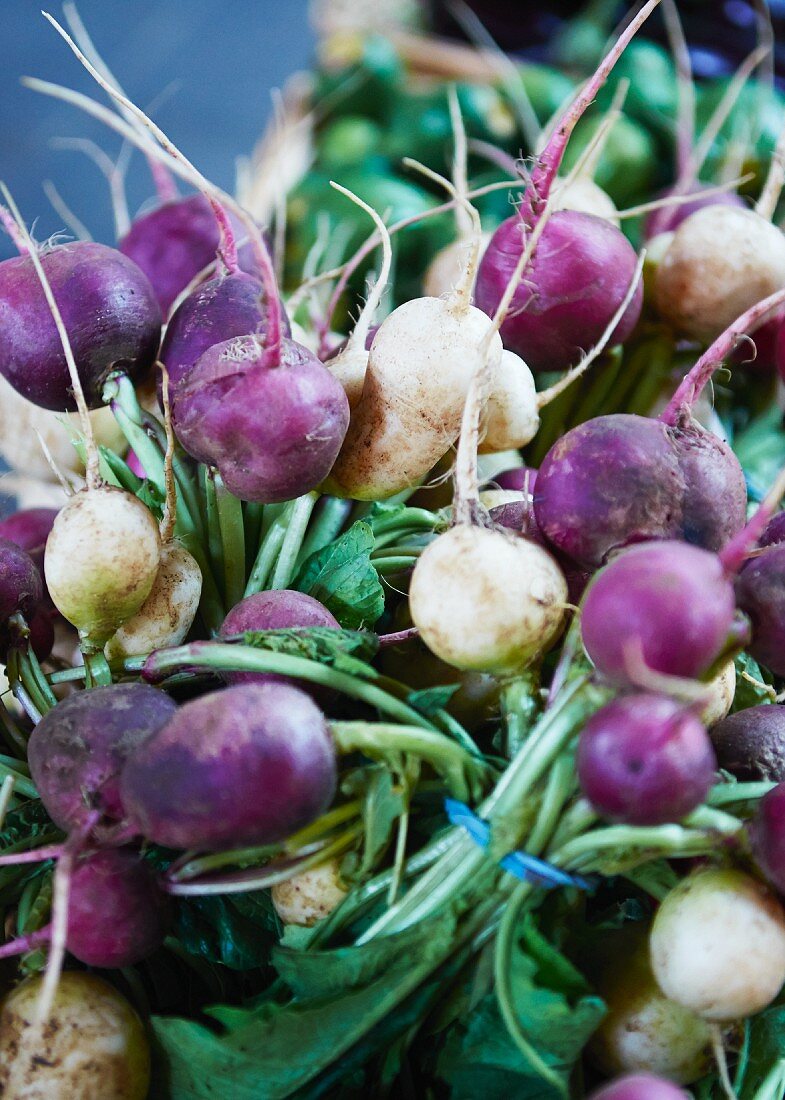 Turnips at a market
