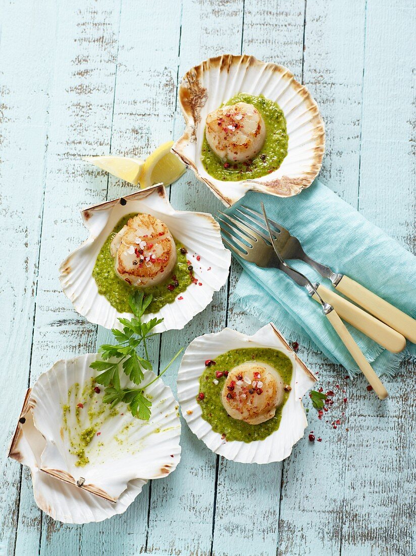 Scallops with green garlic and chilli sauce