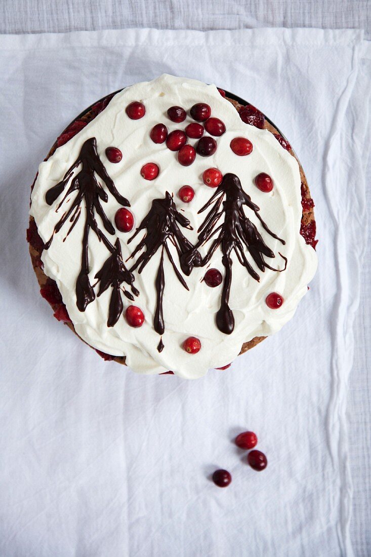 Black Forest Gateau with cranberries for Christmas