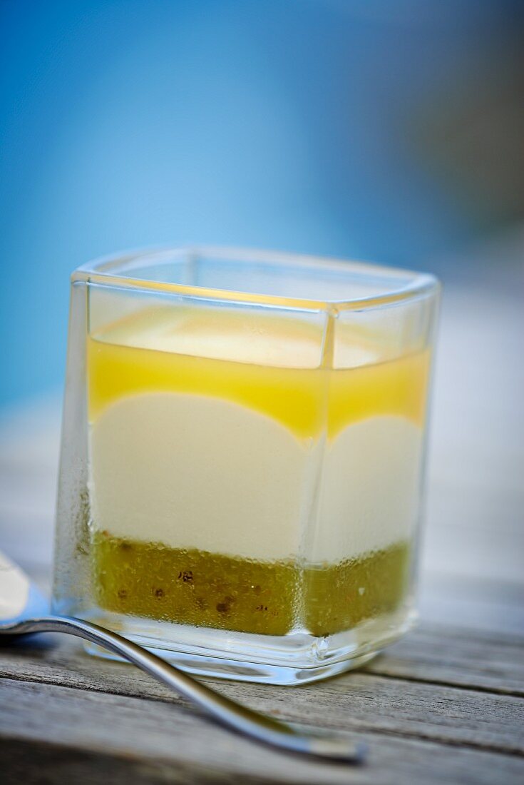 Quark cream with kiwi sauce and citrus fruit jelly