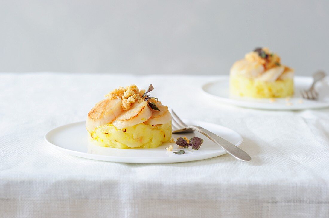 Potato timbale with scallops