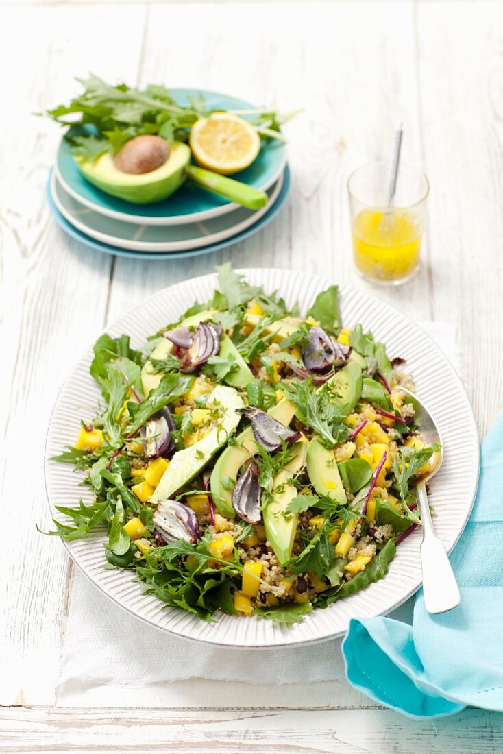 Quinoa-Mango-Salat mit Avocado, roten Zwiebeln, Mizuna und Blattsalat