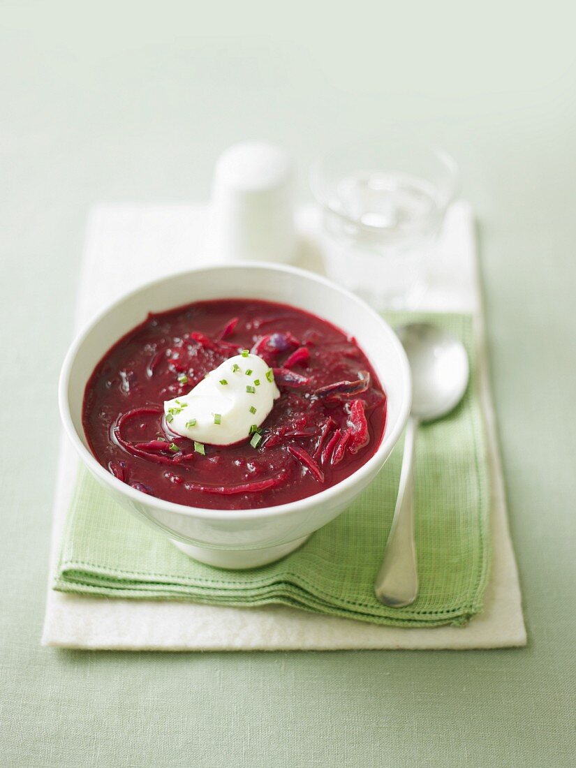 Bowl of Beet Soup with a Dollop of Sour Cream Garnished with Fennel; From Above