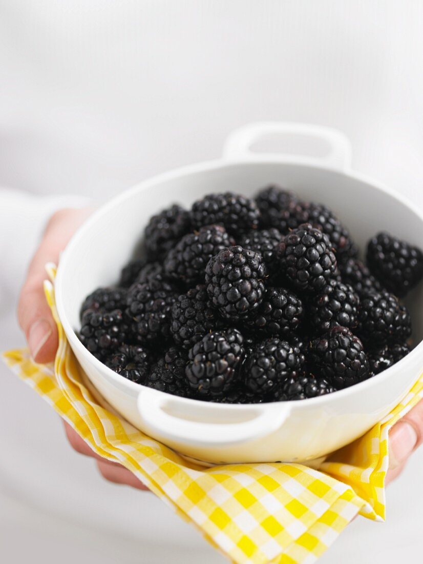 Fresh blackberries in a white porcelain bowl