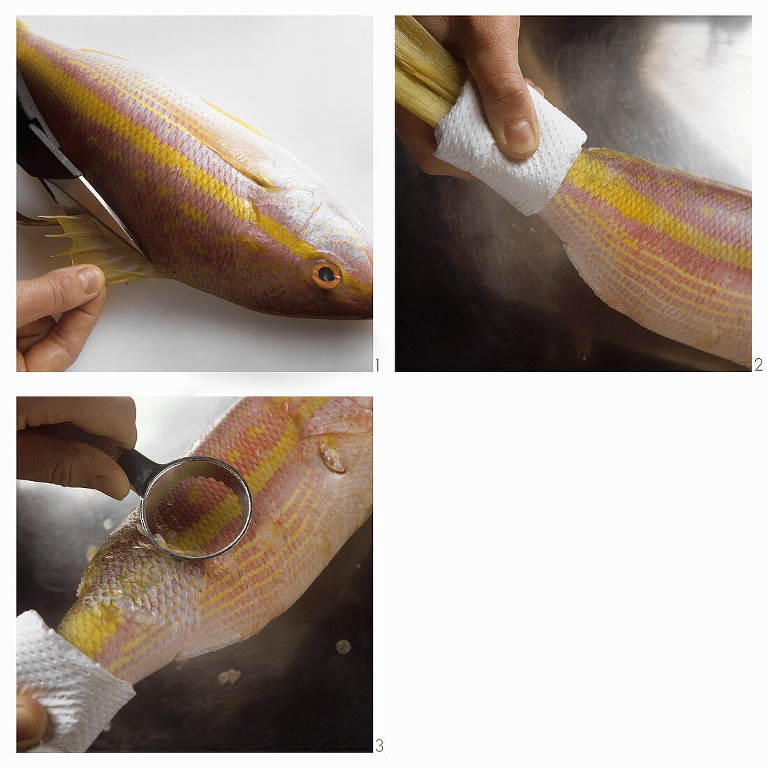 Scaling fish