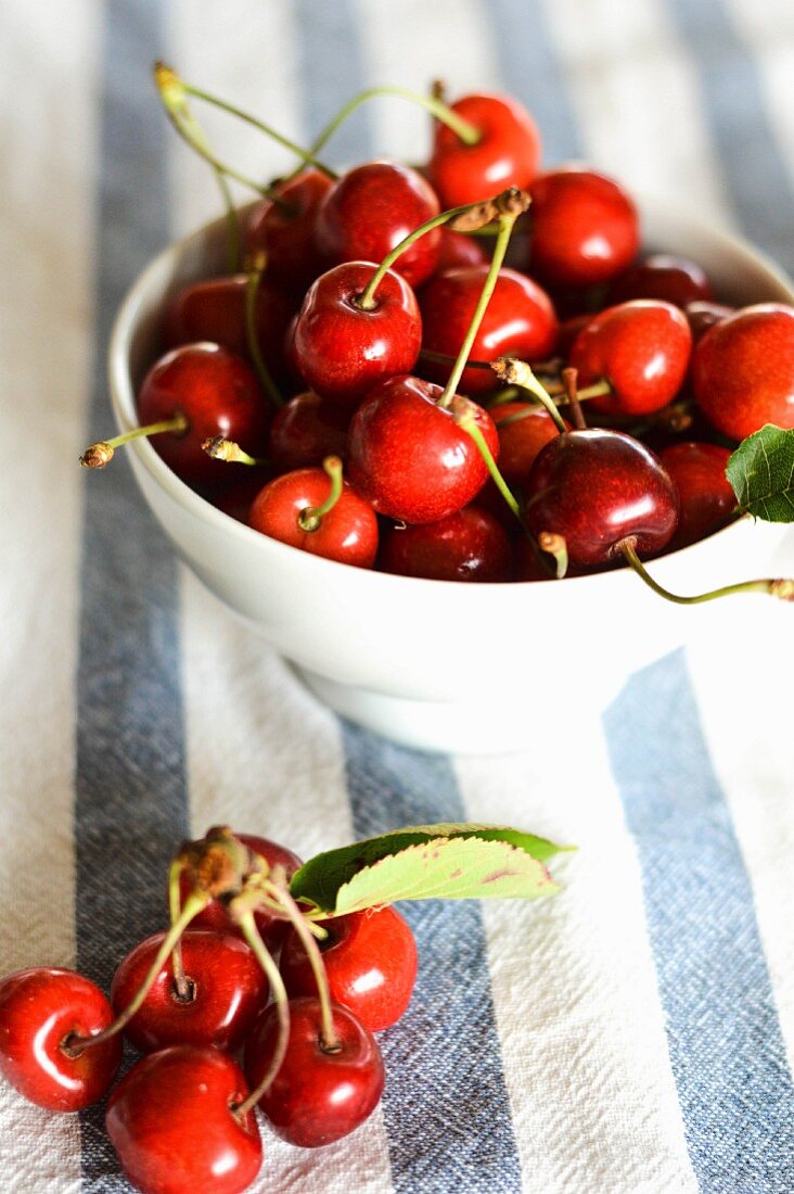 Cherries in a white porcelain bowl