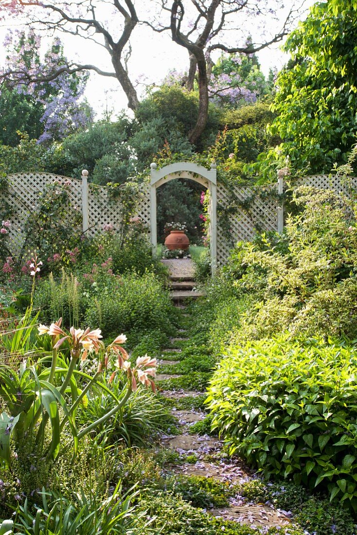 Sunny garden with stepping stone path and wooden lattice fence