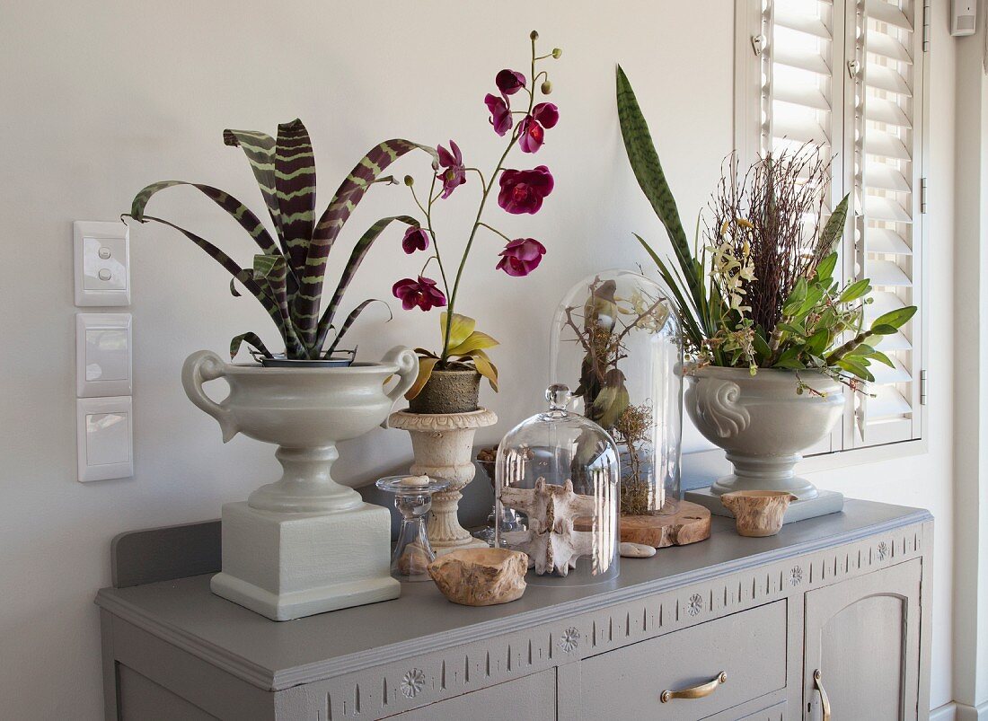 Vintage planters and glass covers over natural finds on top of cabinet painted pale grey