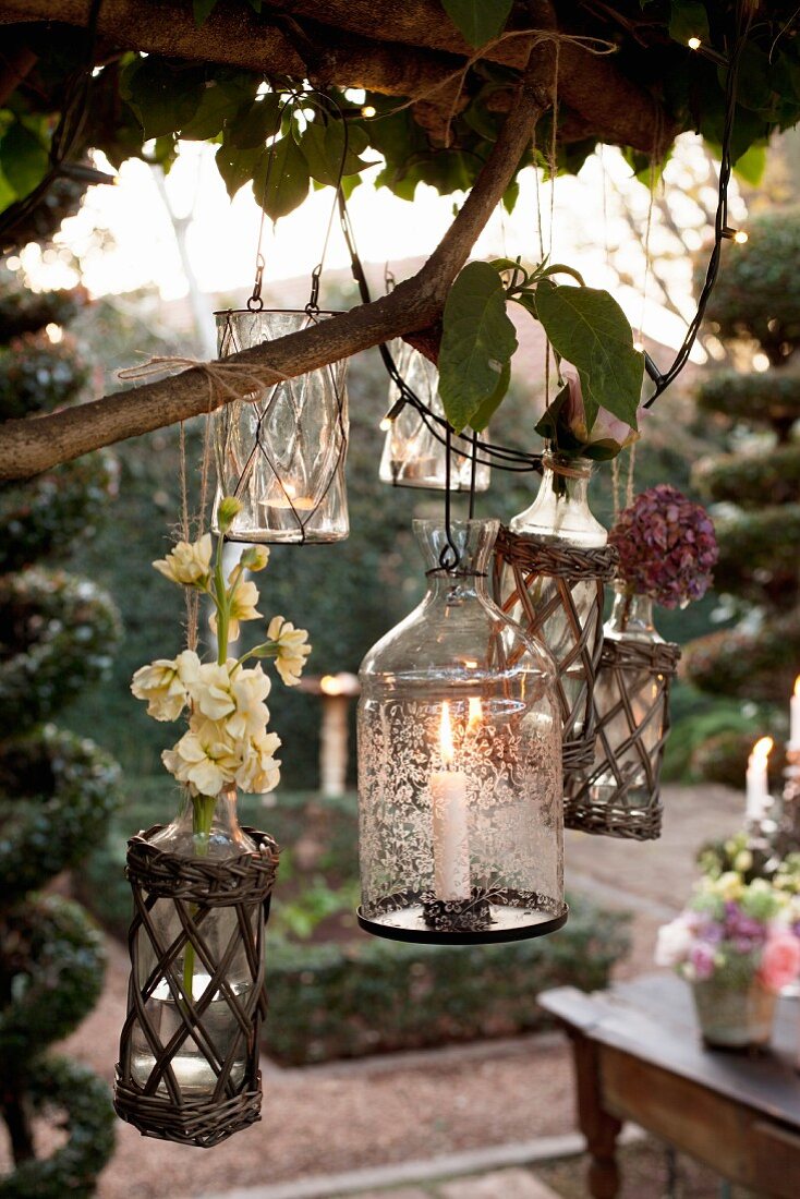 Tealight holders and lit candle lanterns hanging in tree