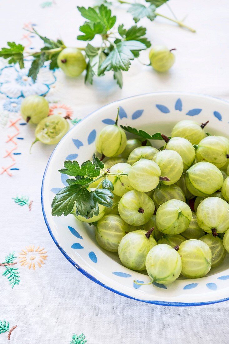 Frische grüne Stachelbeeren