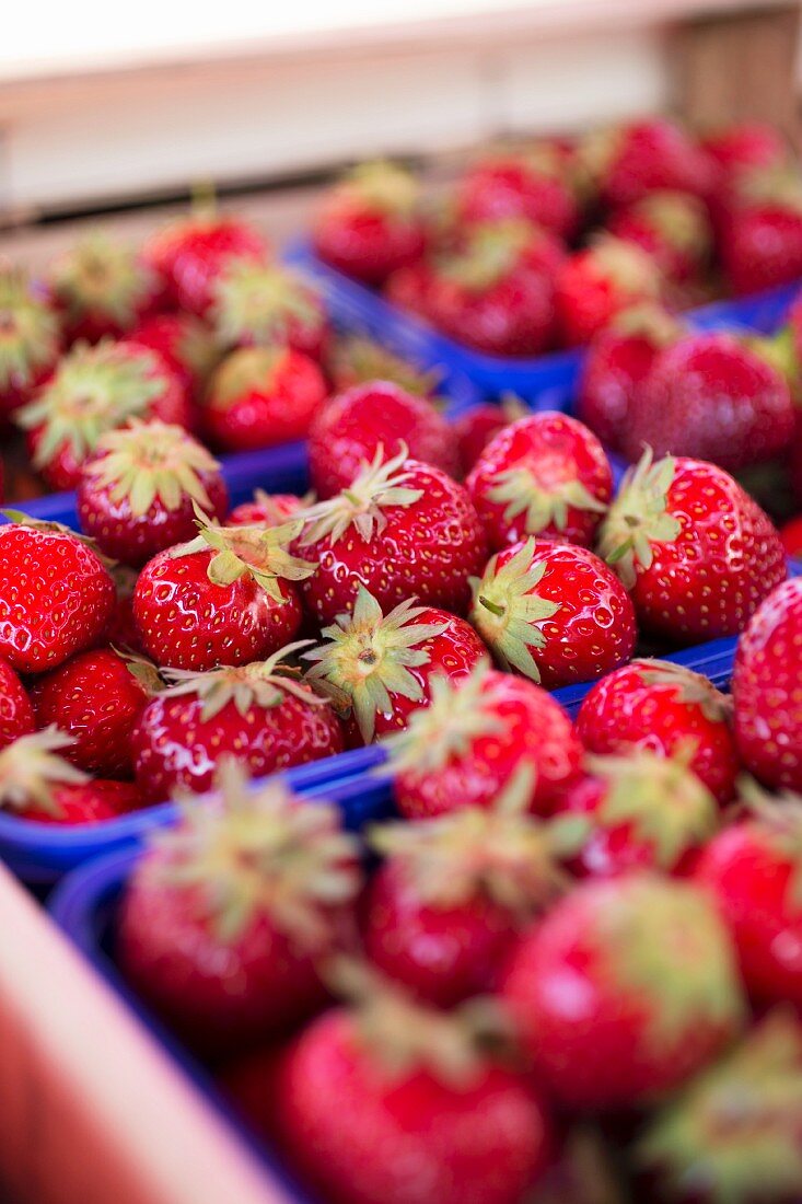 Erdbeeren in blauen Plastikschalen