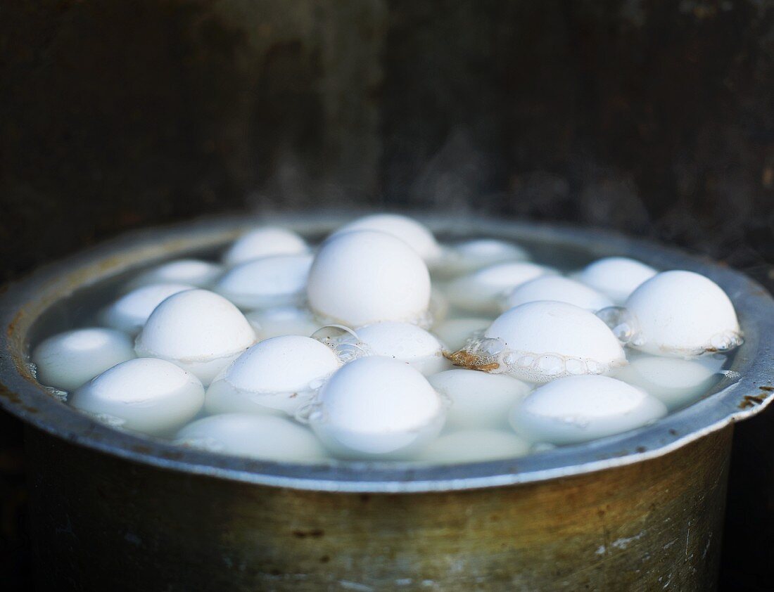 Egg being boiled