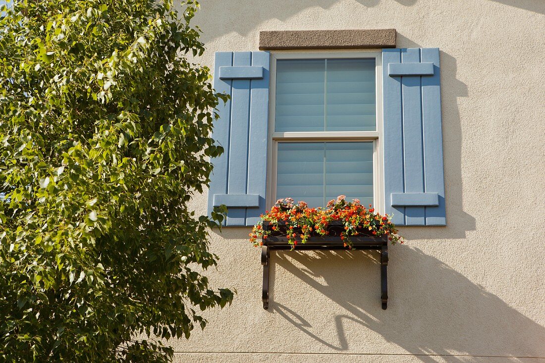 Blick auf ein sonnenbeschienenes Fenster mit Blumenkasten an Hauswand