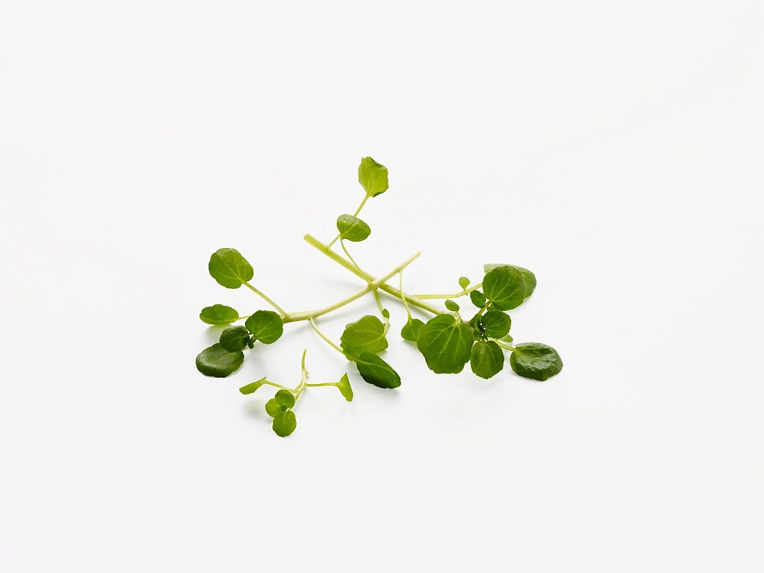 Watercress on a white surface