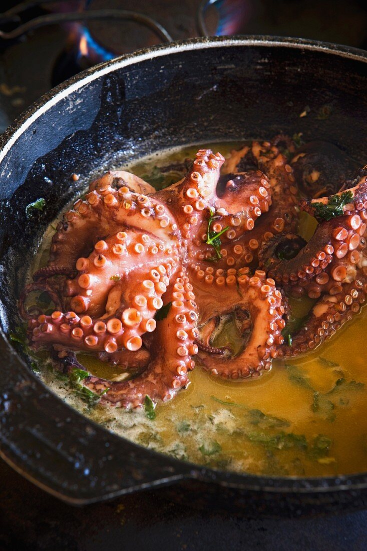 Oktopus im Kräutersud