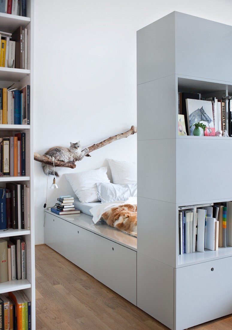 Schrankregal als Raumteiler vor Elternbett, im Hintergrund Katze auf Ast