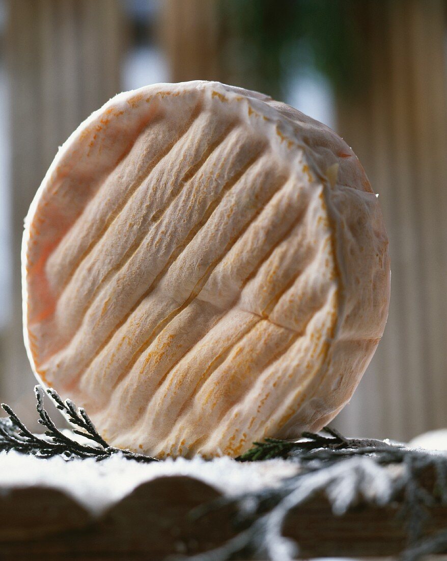 Saint-Felicien cheese