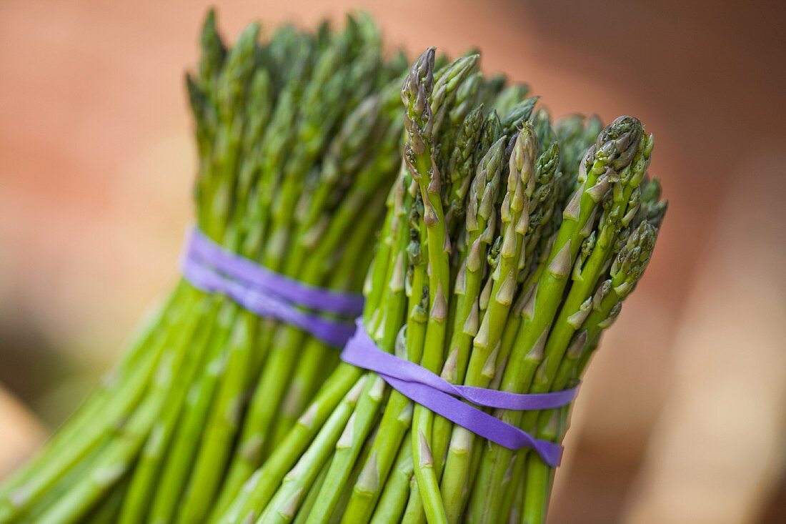 Two bunches of green asparagus