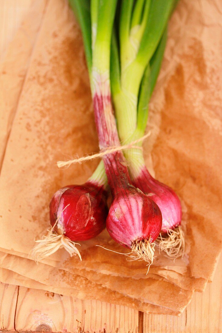 Fresh red onions on a piece of paper